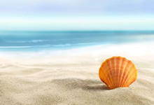 海南男篮大败广西，士气低迷团结