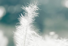 斯托克城主场击败热刺，豪取分