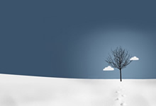 开拓者外线火力全开，赢下了上轮比赛——点燃球迷激情的背后故事