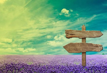 柏林赫塔队员频频失误，导致比赛失利