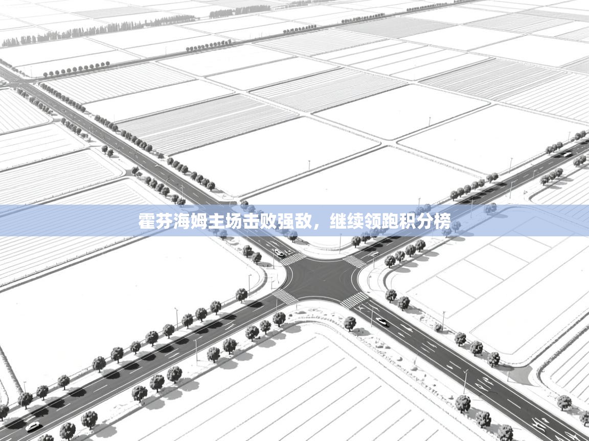 霍芬海姆主场击败强敌，继续领跑积分榜  第2张